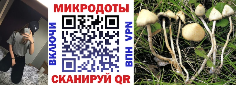 Псилоцибиновые грибы ЛСД  Лиски 